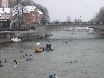 Donauschwimmen_01